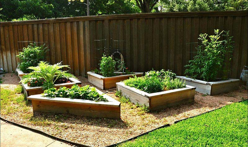 Vegetable Gardening with Raised Beds (6)