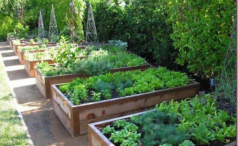 Vegetable Gardening with Raised Beds - Quiet Corner