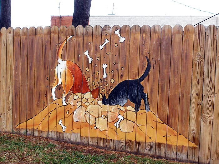 Fantastic Backyard Fences 