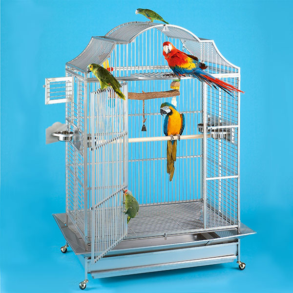 How to Choose a Proper Bird Cage