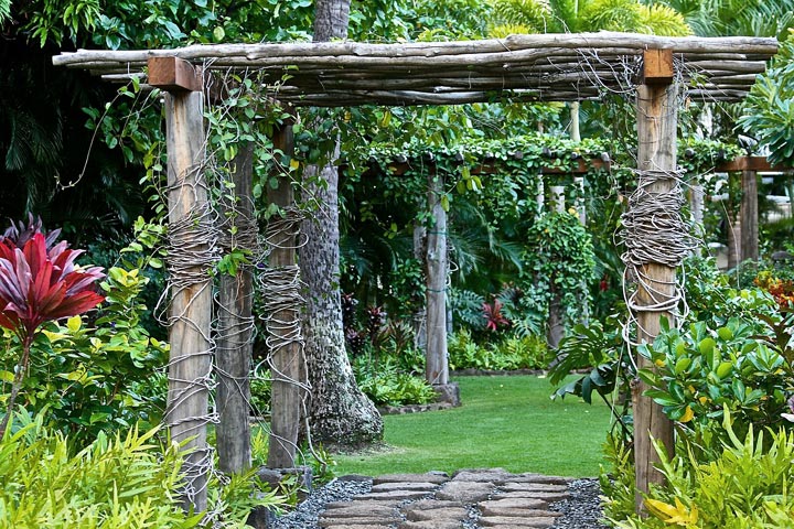 Backyard Landscape Design Ideas
