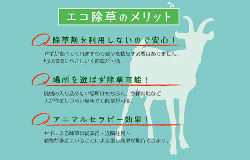 Rent-a-goat service now available in Japan