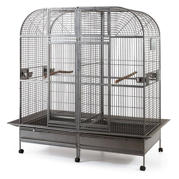 How to Choose a Proper Bird Cage