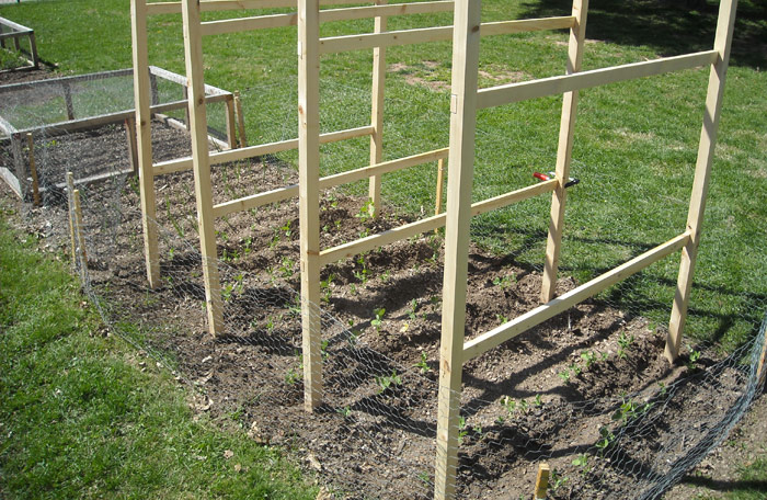 Vegetable Garden - Planning, Designing and Growing