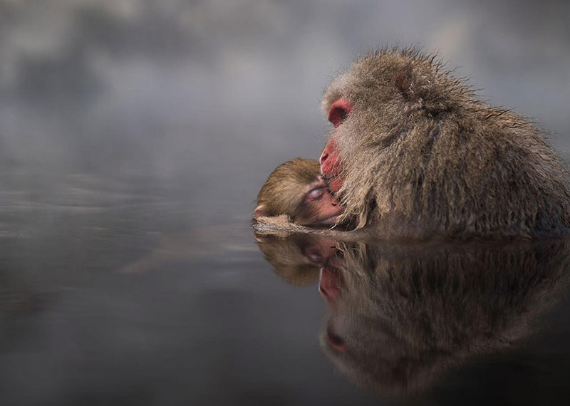 2016 National Geographic Photo Contest