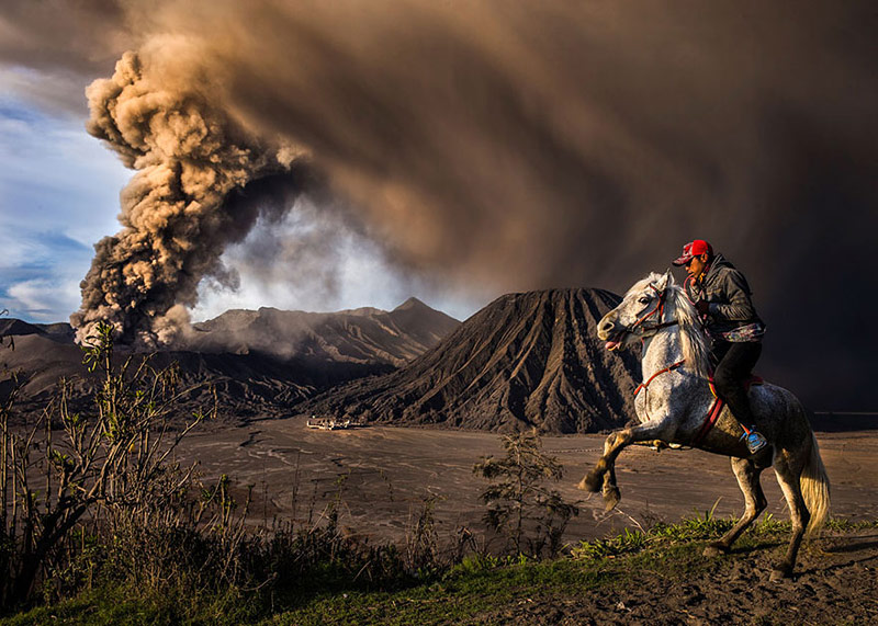 2016 National Geographic Photo Contest