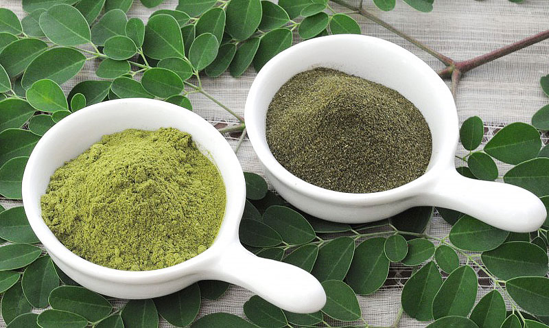 Have you ever heard of Moringa?