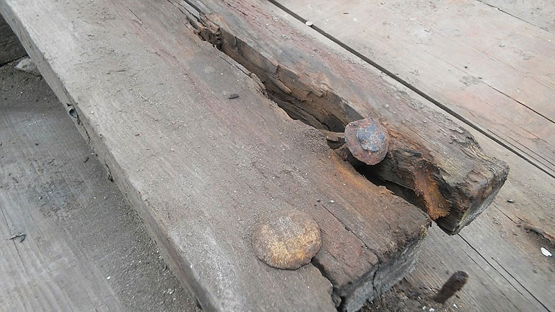 19th century boat found under New Jersey home