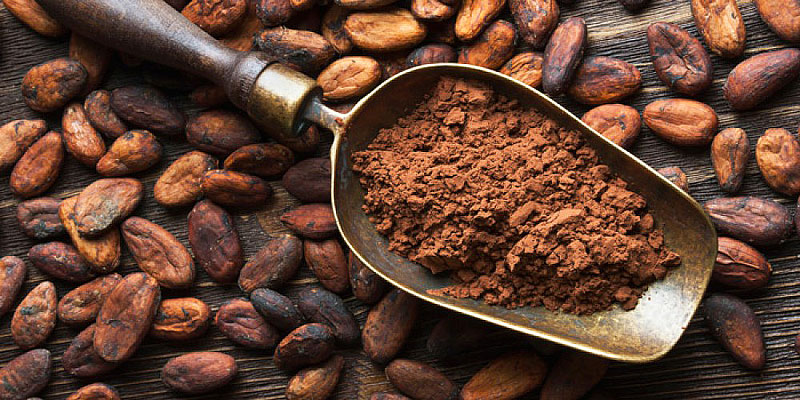 Cacao - Super Food Full of Antioxidants 