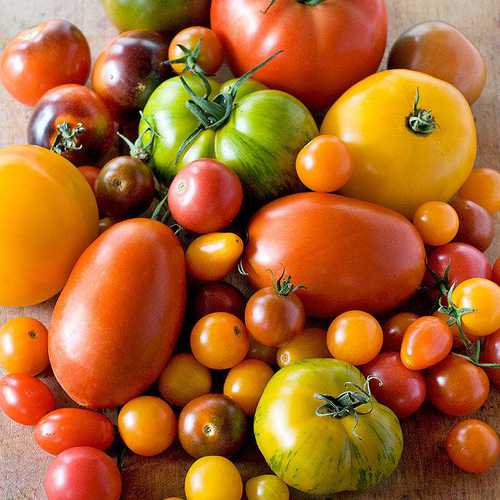 What Type of Tomatoes Should I Grow?