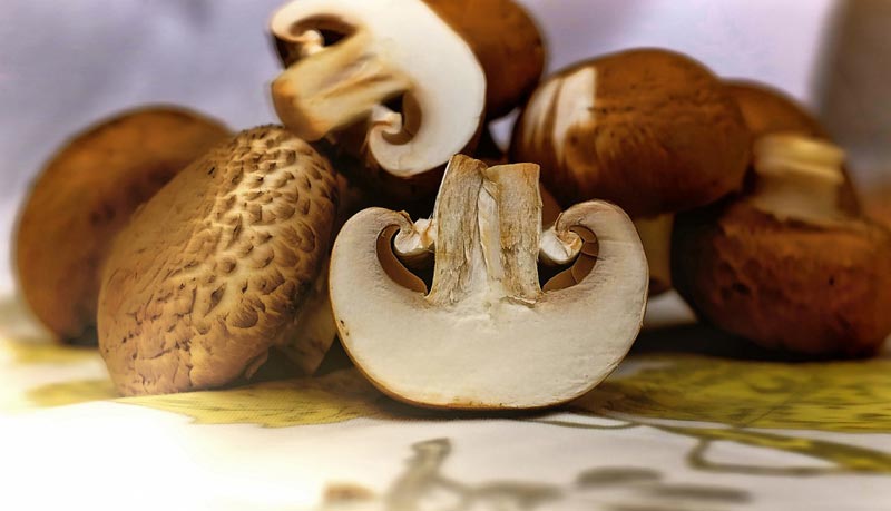 8 Reasons to Eat More Mushrooms