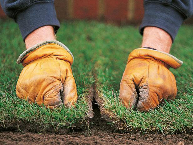 DIY - How to Install Sod for a New Lawn