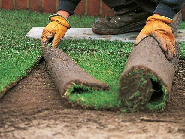 DIY - How to Install Sod for a New Lawn