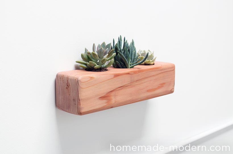 DIY - Succulent Planter