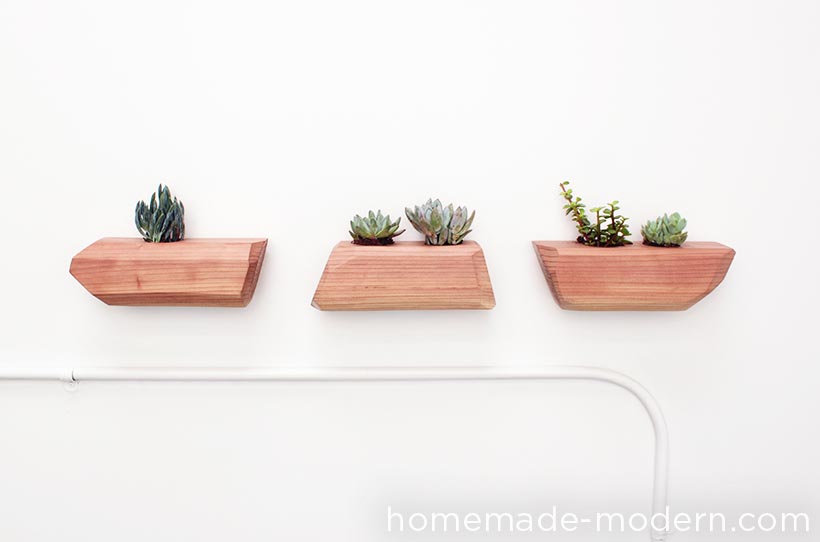 DIY - Succulent Planter