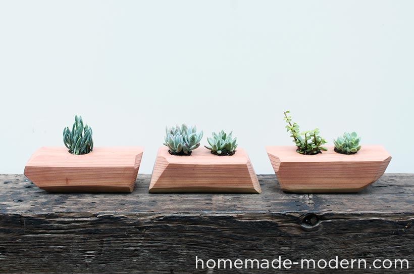 DIY - Succulent Planter