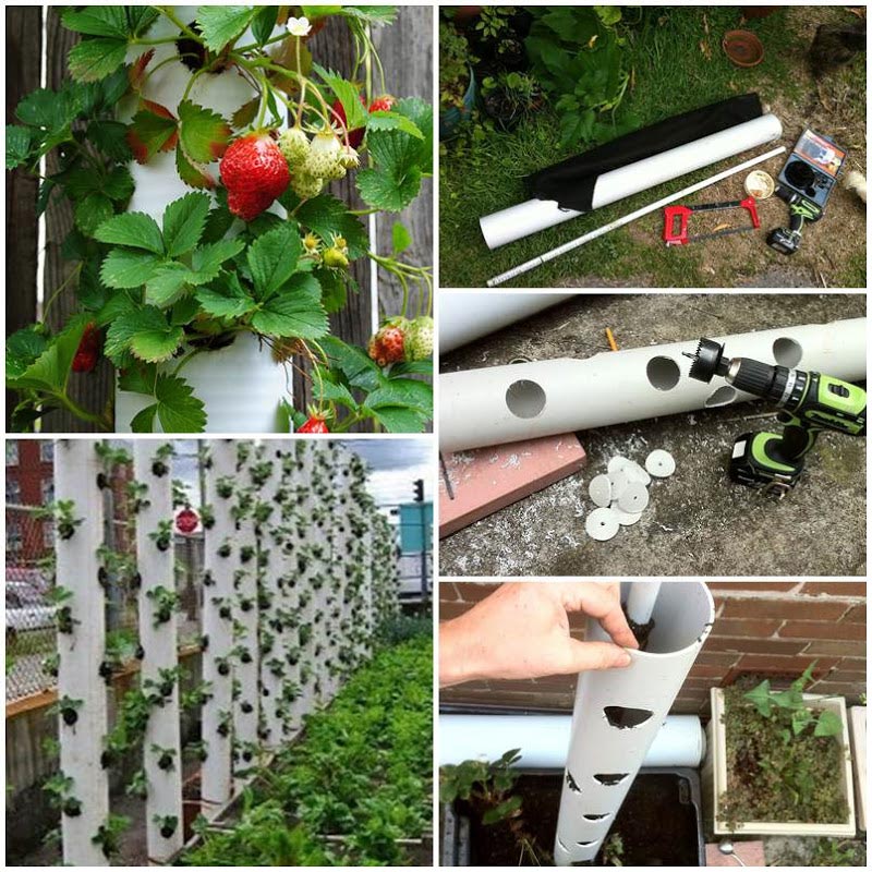 DIY Vertical PVC Planter