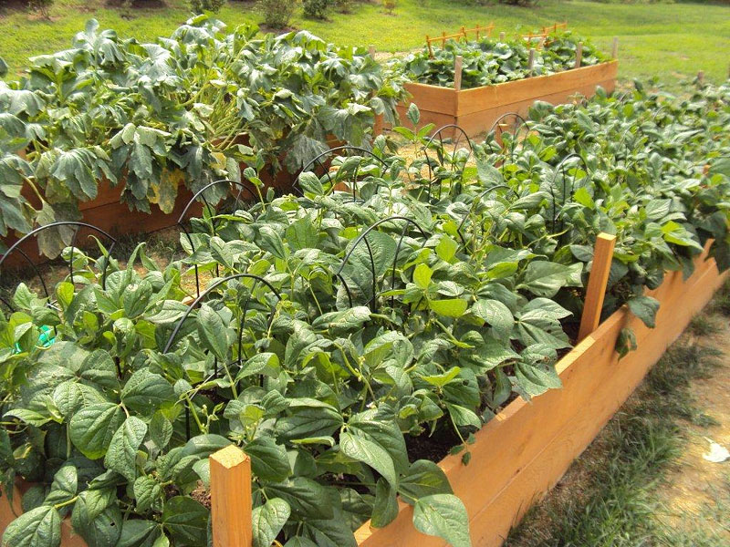 Making a Raised-Bed Garden