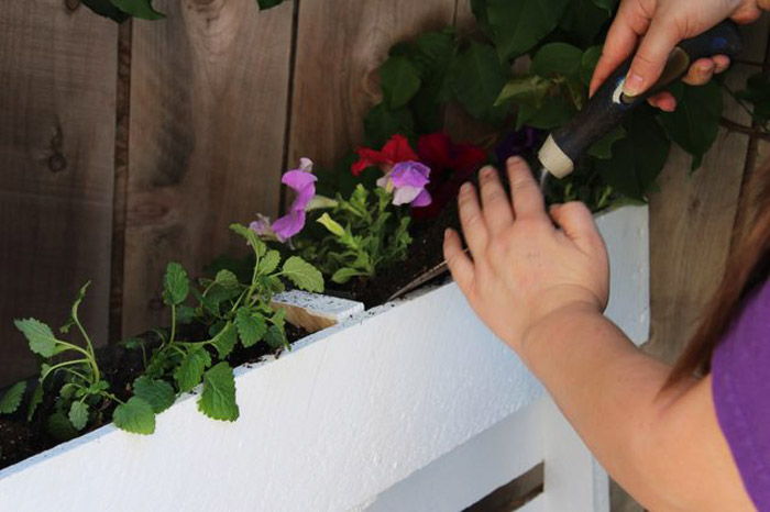 How to Build a Vertical Garden or Living Wall
