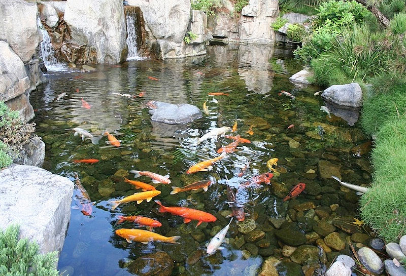 Inspiring Backyard Pond Ideas