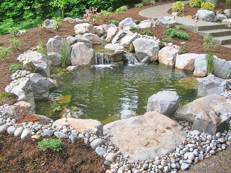 Inspiring Backyard Pond Ideas