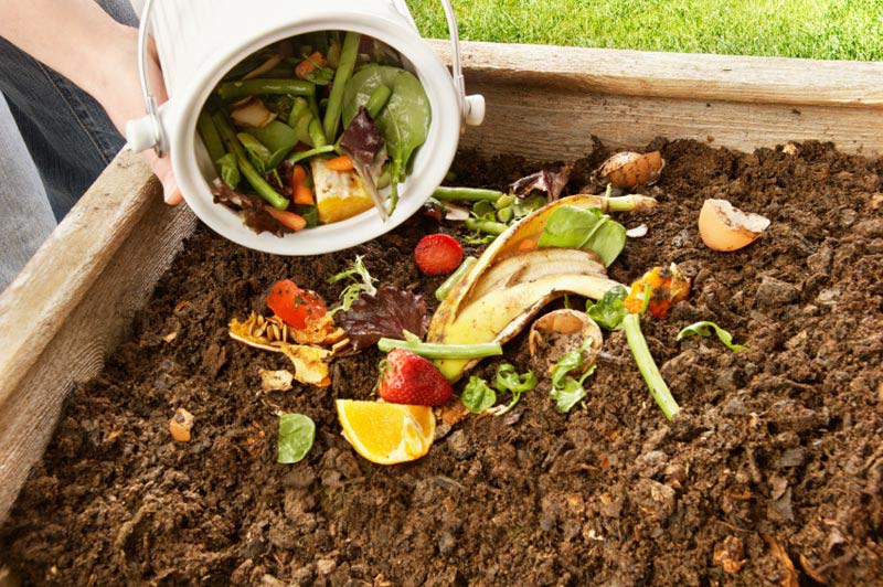 Utilization of biodegradable kitchen wastes into organic fertilizer using earthworms