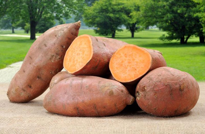 Reasons to Eat More Sweet Potatoes