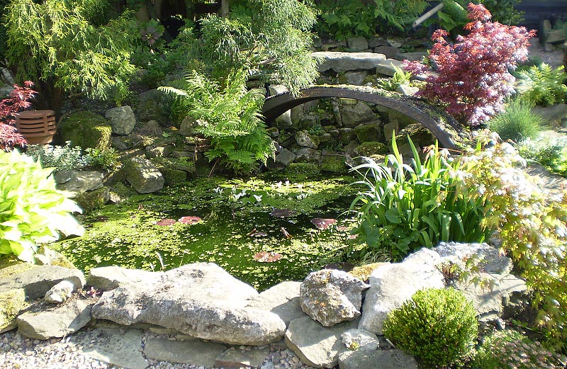 Stunning Rock Garden Design Ideas (6)