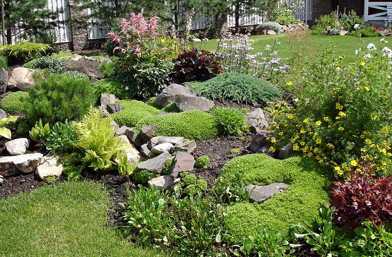 Stunning Rock Garden Design Ideas (6)