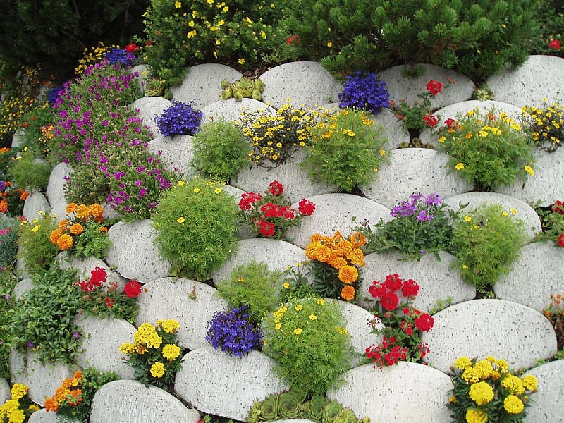 Stunning Rock Garden Design Ideas (6)