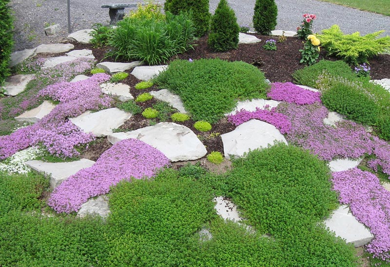 Stunning Rock Garden Design Ideas (6)