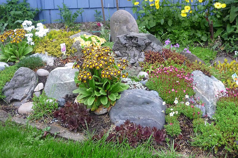 Stunning Rock Garden Design Ideas (6)