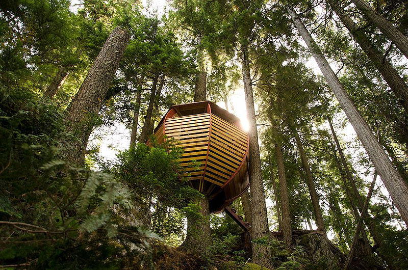 The HemLoft - Hidden Treehouse 