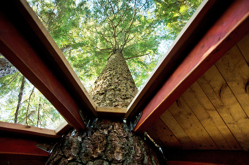 The HemLoft - Hidden Treehouse 