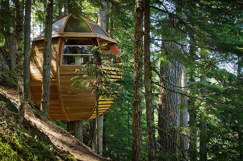 The HemLoft - Hidden Treehouse 