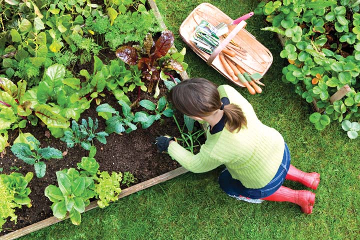 Top 5 Gardening Mistakes
