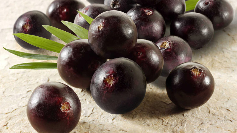 Acai Berry – Superfood