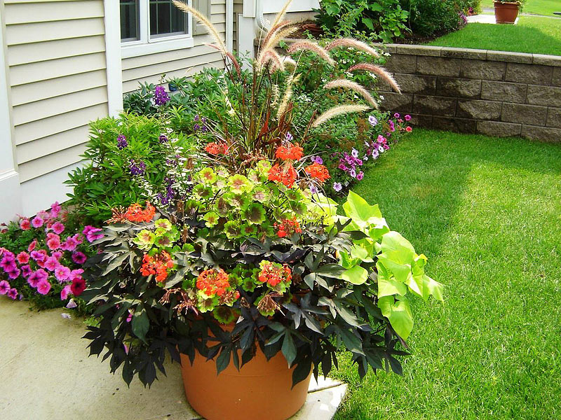 Create a Container Garden