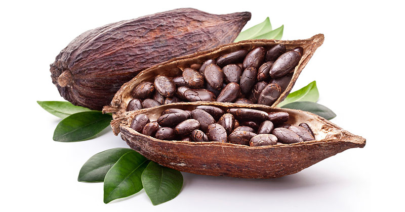 Cacao - Super Food Full of Antioxidants 