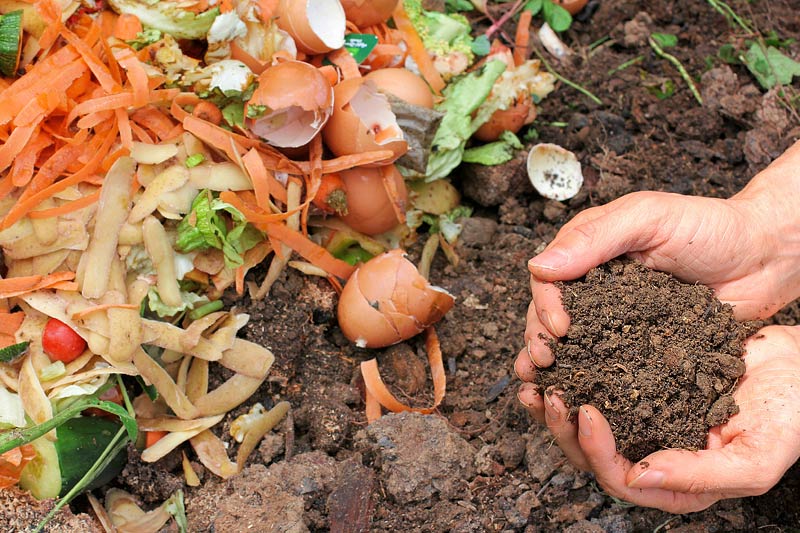 Compost - a Recipe for Success!