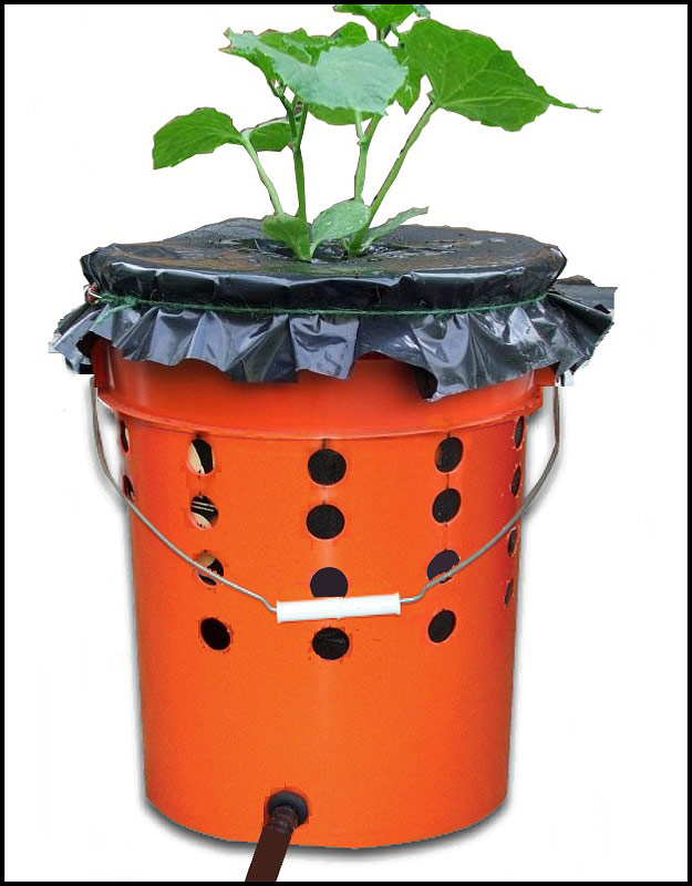 DIY - Self Watering Tomato Buckets