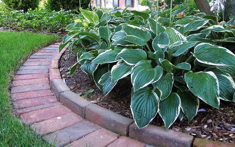 Landscape Edging Materials