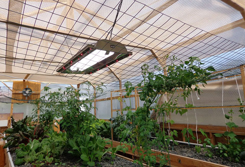 How to Keep Efficient and Effective Greenhouse 