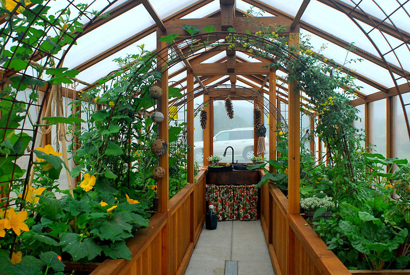 Greenhouse Gardening Benefits 