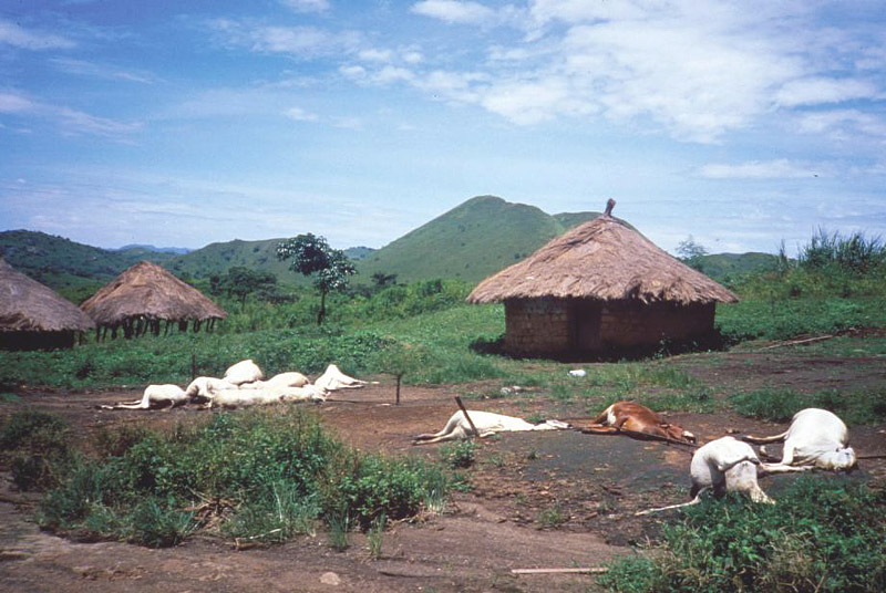 Lake Nyos - Deadliest Lake in the World