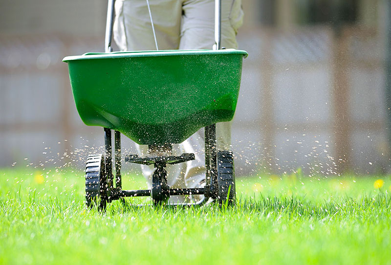 Winter Lawn Care - Winter Lawn Maintenance