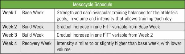 Intelligent Training : A Periodization Primer