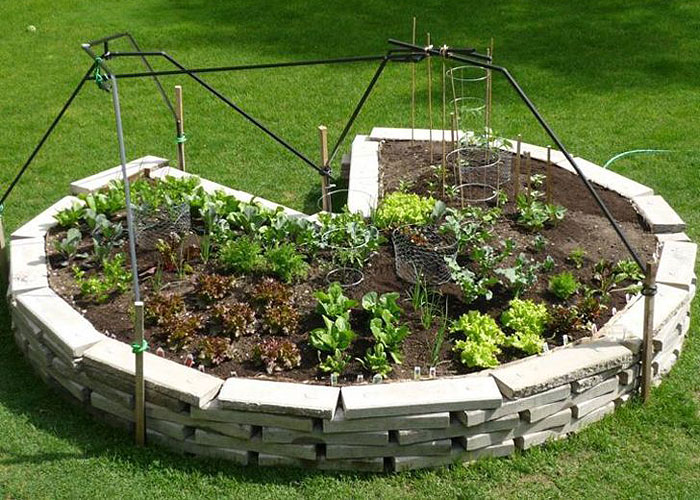 Vegetable Garden - Planning, Designing and Growing