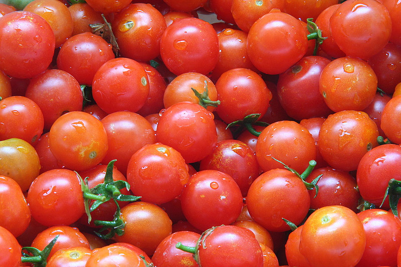 Cherry Tomatoes - Growing Guide