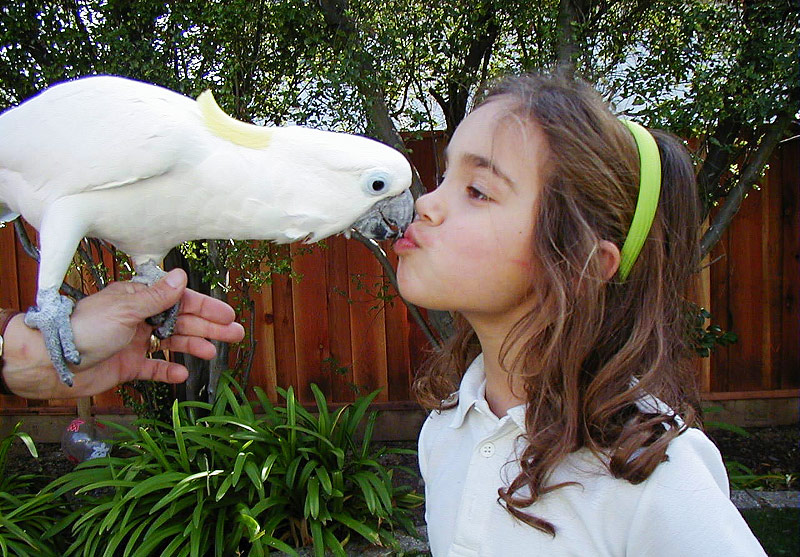 How to Have Happy Parrot